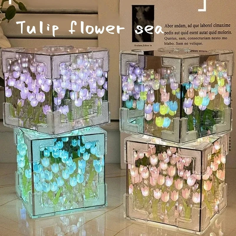 Taean Tulip Blossoms
