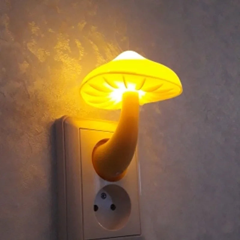 Myco Night Radiance