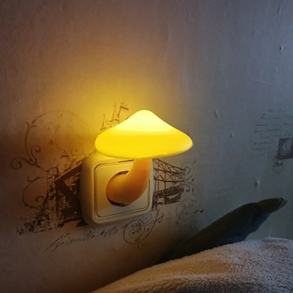 Myco Night Radiance